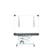 43 Inch Adjustable Heavy Type Hydraulic Pet Dog Grooming Table Upgraded Professional Drying Table Heavy Duty Frame with Adjustable Arm and Noose
