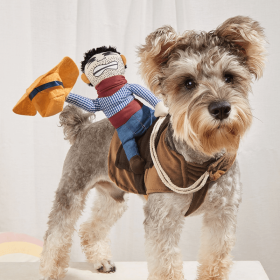 Cowboy Rider Pet Costume, Funny Dog Costume For Small Medium Dogs & Cats, Pet Clothes (size: S, Color: Mixed Color)