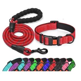 No Pull Dog Harness; Adjustable Nylon Dog Vest & Leashes For Walking Training; Pet Supplies (size: XS, Color: Red)