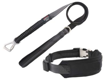 Pet Life 'Geo-prene' 2-in-1 Shock Absorbing Neoprene Padded Reflective Dog Leash and Collar (size: small, Color: Black)